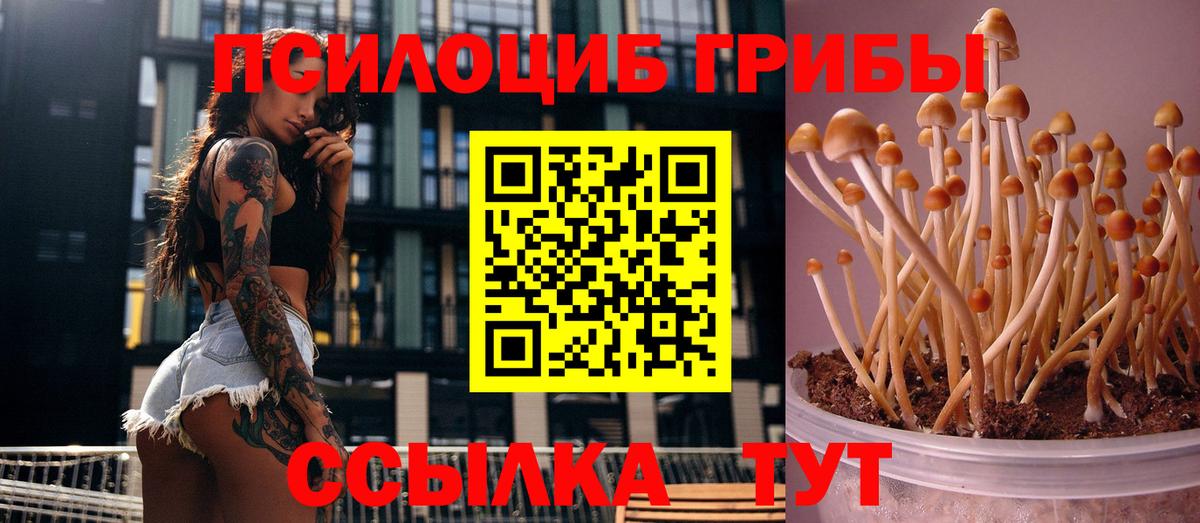 Кунгур  Галлюциногенные грибы ЛСД  Вход с VPN  Галлюциногенные грибы Magic Shrooms 